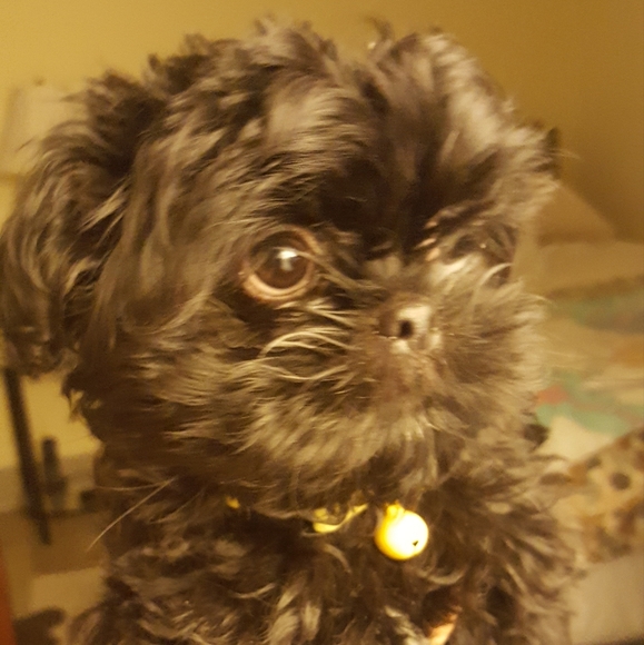 Meet your Posher - Picture 2 of 4